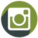 Instagram Footer Icon Hover